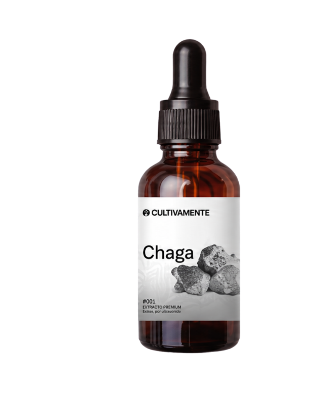 Chaga